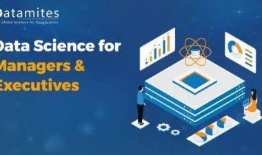 Data Science Courses for Managers and Executives