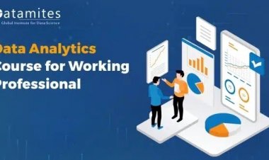 Data Analytics Course for Working Professionals