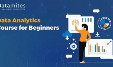 Beginner’s Guide to Data Analytics Course