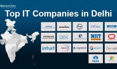 What are the Best IT Companies in Delhi?
