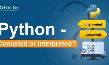 Why is Python an Interpreted Programming Language?