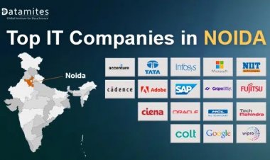 What are the Top Ranking Companies in Noida?