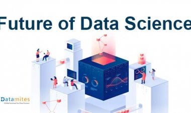What does the Future hold for Data Science?