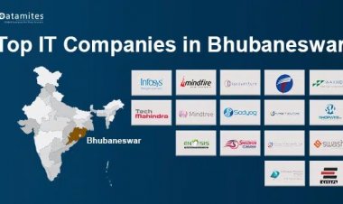 What are the Top IT Companies in Bhubaneswar