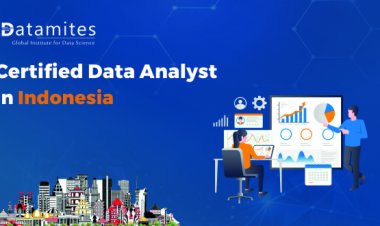 How much is the Certified Data Analyst Course Fee in Indonesia?