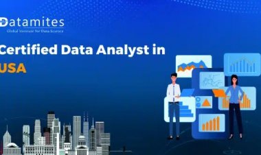 How much is the Certified Data Analyst Course Fee in USA?
