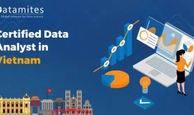 How Much is the Certified Data Analyst Course Fee in Vietnam?