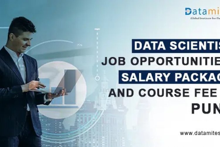 DATA SCIENTIST JOB IN HINDI visual data 7
