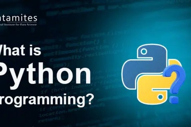 What is Python Programming? - DataMites Offical Blog