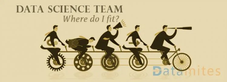 Data Science Team Structure – Where Do I Fit?
