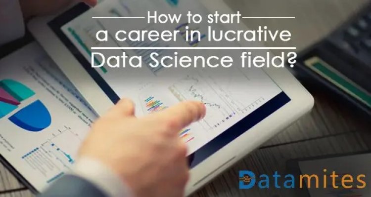 How to Start a Career in the Lucrative Data Science Field?