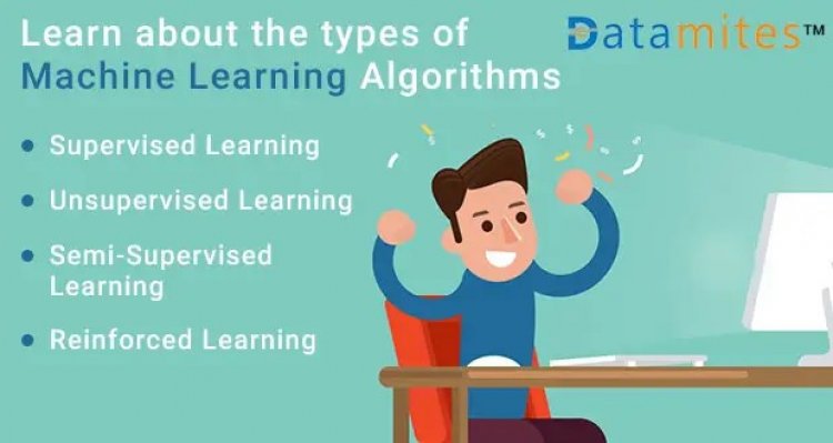 Learn about the Types of Machine Learning Algorithms