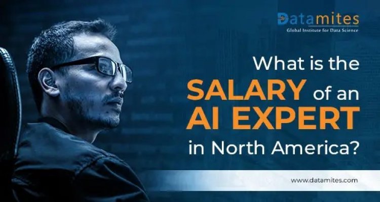 What is the Salary of an AI Expert in North America?