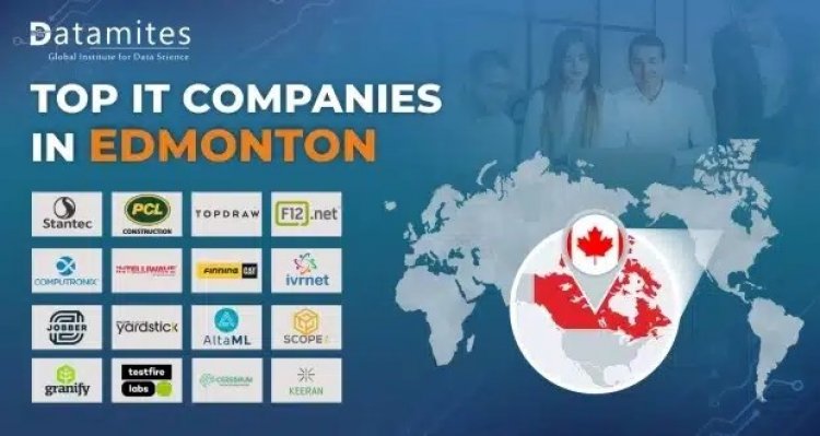 What are the Top IT Companies in Edmonton?