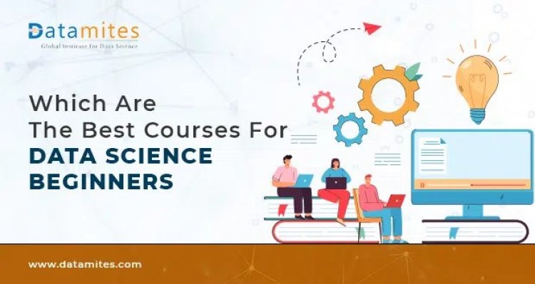 What are the Best Courses for Data Science Beginners?