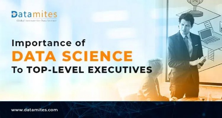 How Significant is Data Science for Top-Level Executives?
