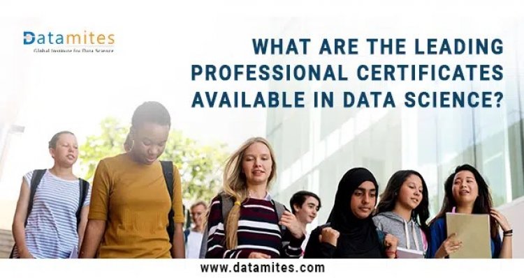 What are the Leading Professional Certificates Available in Data Science?