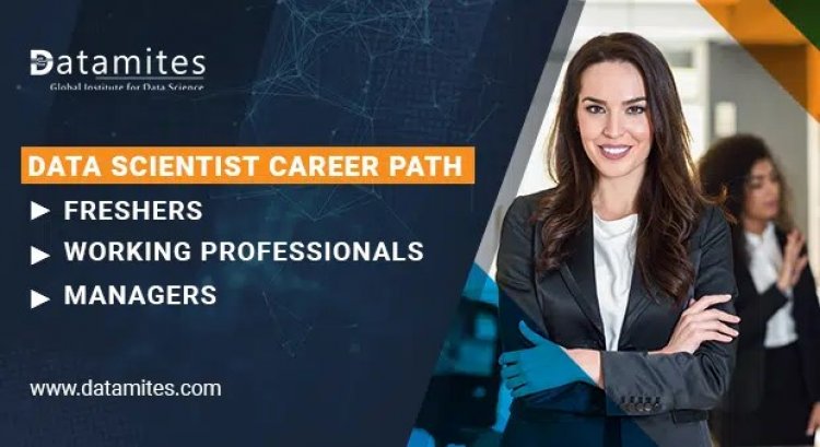 Data Scientist Career Path – Fresher, Working Professionals and Managers