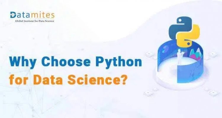 Why Choose Python Programming for Data Science?