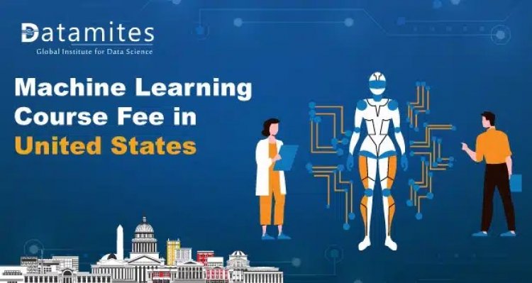How much is the Machine Learning Course fee in the USA?