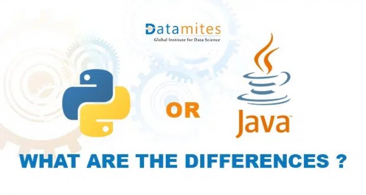Do You Prefer Python or Java?