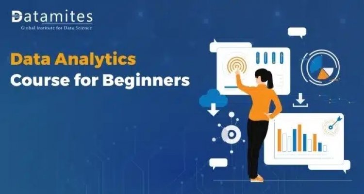 Beginner’s Guide to Data Analytics Course
