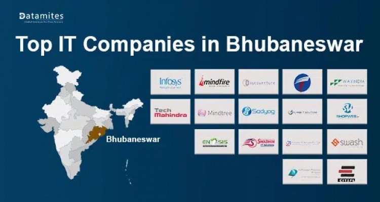 What are the Top IT Companies in Bhubaneswar