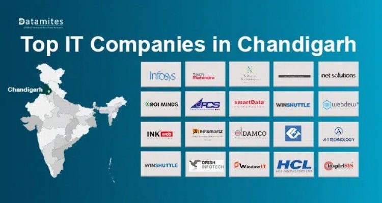 What are the Top IT Companies in Chandigarh?