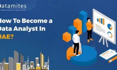 How to Become a Data Analyst in United Arab Emirates?