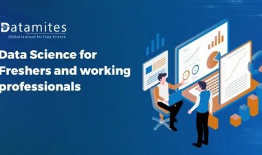 Data Science Courses for Freshers, Working Professionals,and C-level Executives