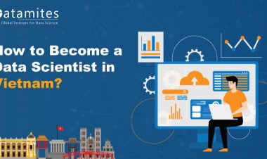 How to Become a Data Scientist in Vietnam?