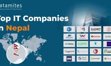What are the Top IT Companies in Nepal?