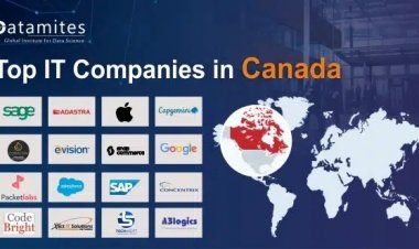 What are the Top IT Companies in Canada?