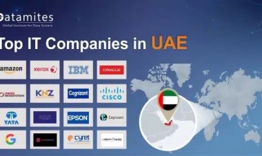 What are the top IT companies in the UAE?