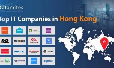 What are the Top IT Companies in Hong Kong?