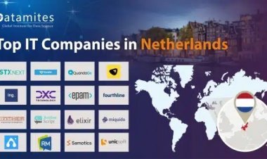 What are the Top IT Companies in the Netherlands?