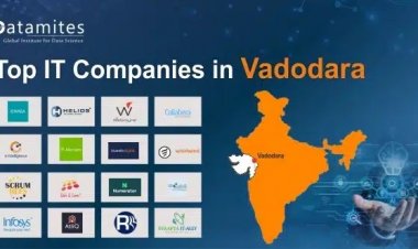 What Are The Top IT Companies In Vadodara?