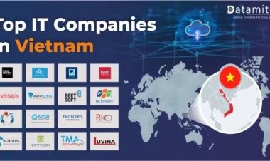 What are the Top IT Companies in Vietnam?