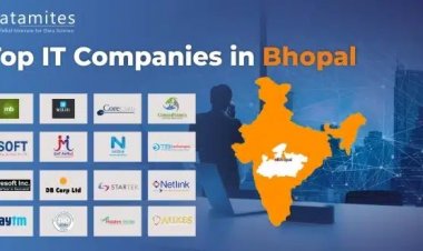 What Are The Top IT Companies In Bhopal?