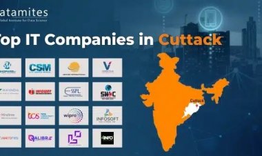 What are the Top IT Companies in Cuttack?