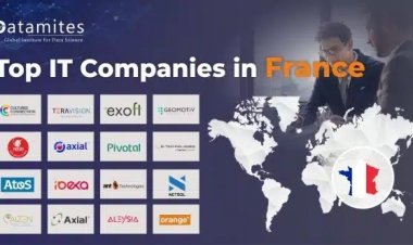 What are the Top IT Companies in France?
