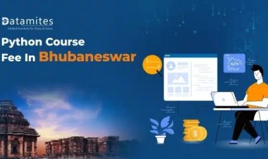 How much are the Python Course Fees in Bhubaneswar?