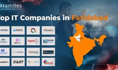 What are the Top IT Companies in Faridabad?