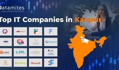 What are the Top IT Companies in Kanpur?