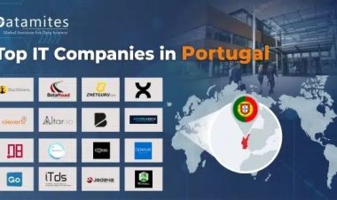 What are the Top IT Companies in Portugal?
