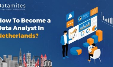 How to Become a Data Analyst in the Netherlands?