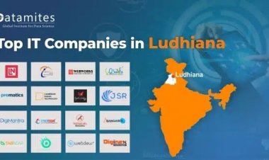 What are the Top IT Companies in Ludhiana?