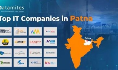 What are the top IT company in Patna?