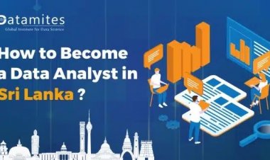 How to Become a Data Analyst in Sri Lanka?