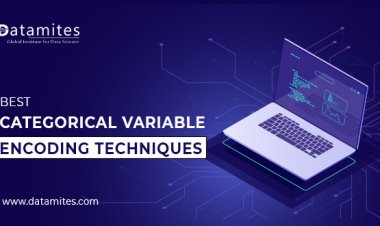 Best Categorical Variable Encoding Techniques